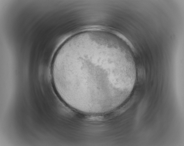 X0000113921466200910221344