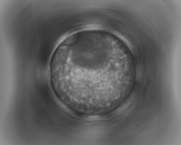 X0000113921467200910221344