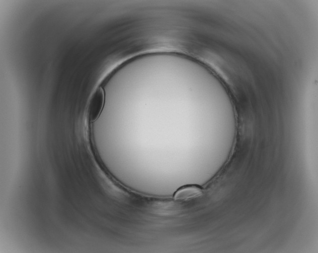 X0000113921468200910221344