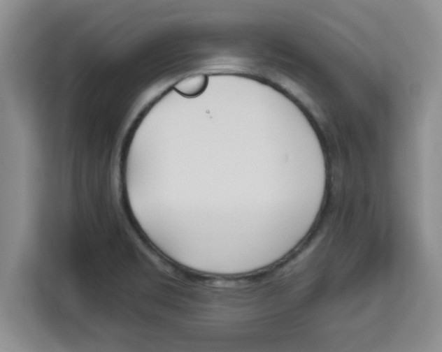 X0000113921469200910221344