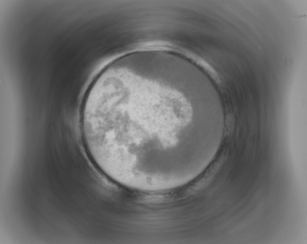 X0000113921470200910221344