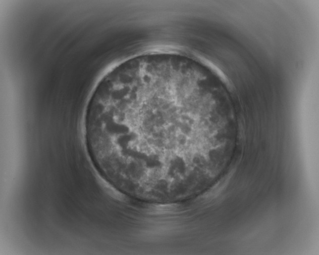 X0000113921471200910221344