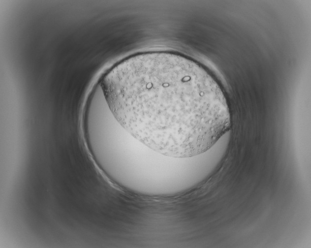 X0000113921472200910221344