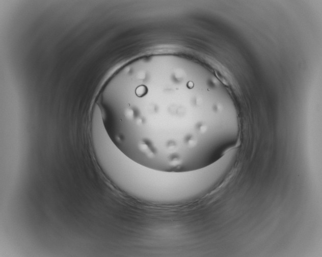 X0000113921473200910221344
