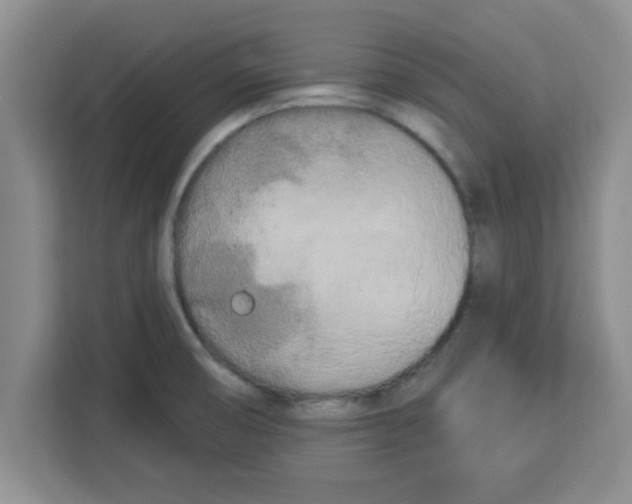 X0000113921474200910221344
