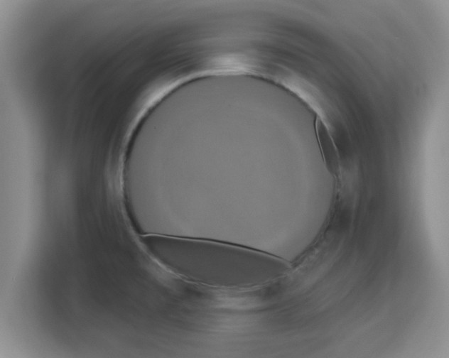 X0000113921477200910221343