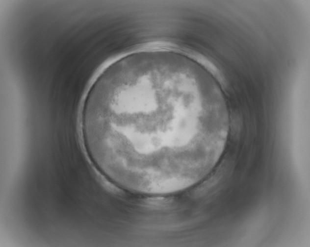 X0000113921478200910221343