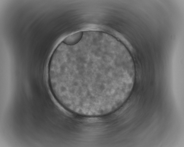X0000113921479200910221343