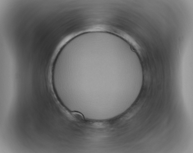 X0000113921480200910221343