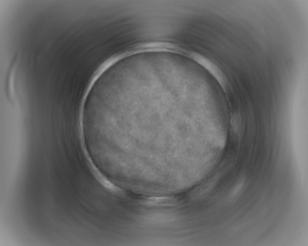 X0000113921482200910221343