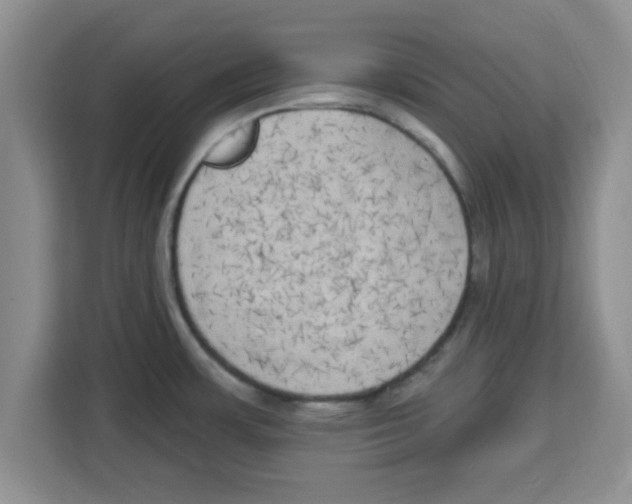 X0000113921483200910221343