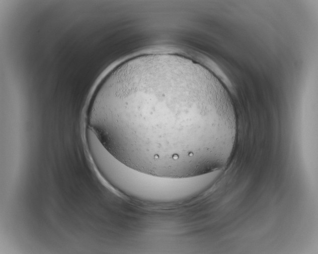 X0000113921484200910221343