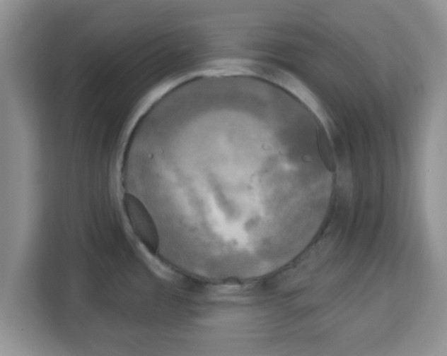 X0000113921485200910221343