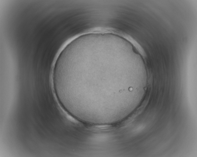 X0000113921486200910221343