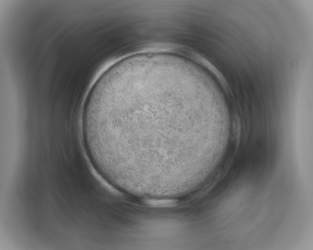 X0000113921487200910221343