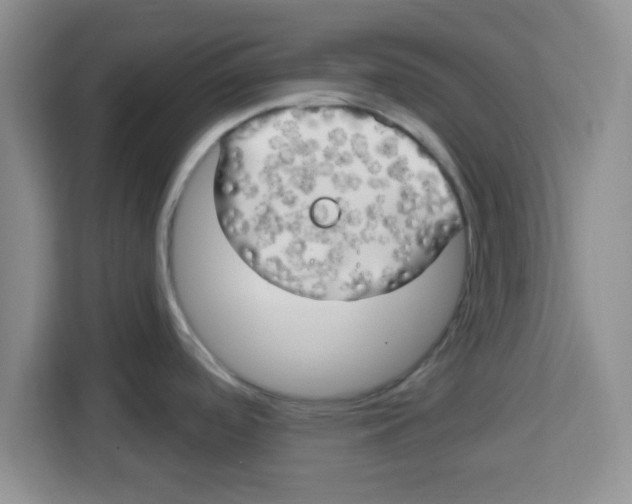 X0000113921488200910221343