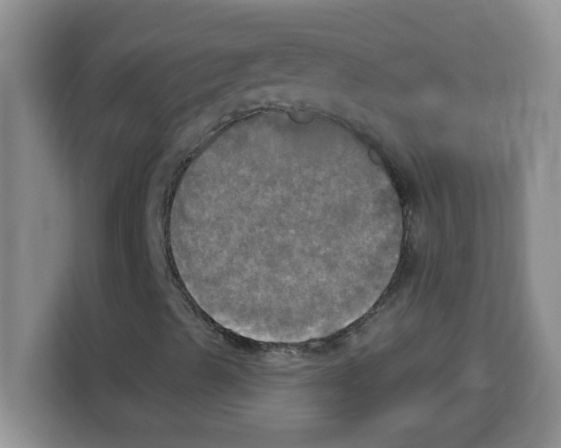 X0000113921489200910221343