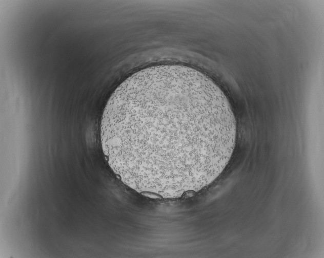 X0000113921490200910221343