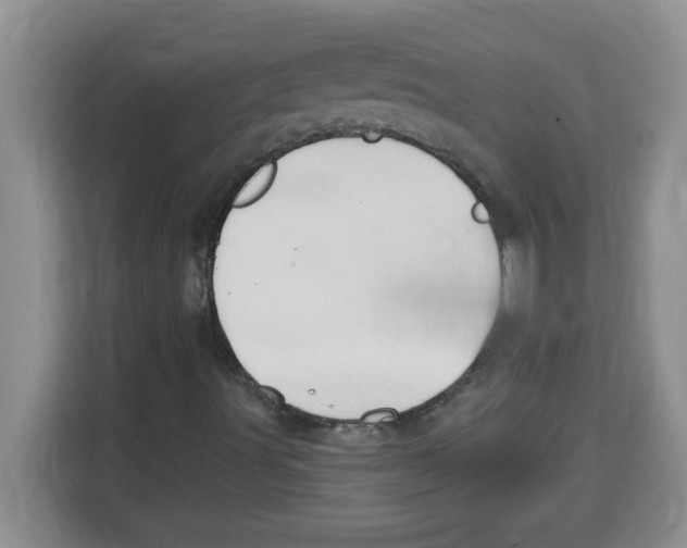 X0000113921491200910221343