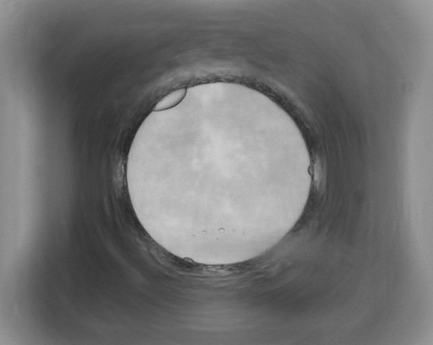 X0000113921492200910221343