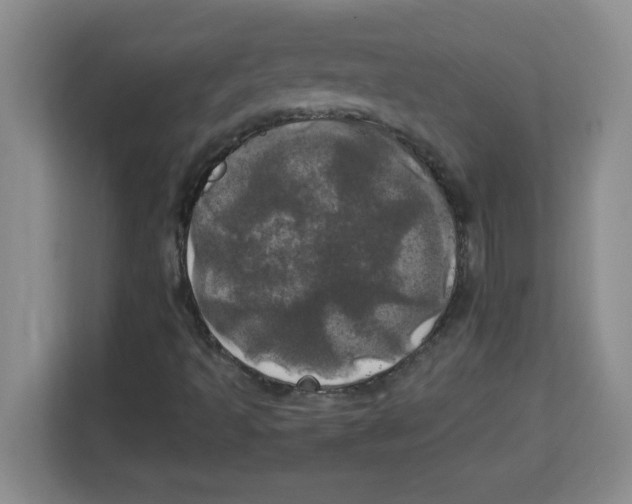 X0000113921493200910221343