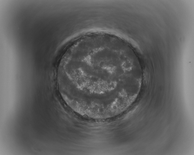 X0000113921494200910221343