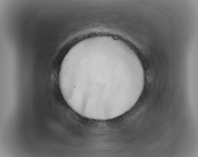 X0000113921495200910221343