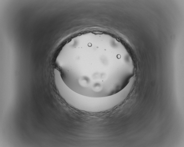 X0000113921496200910221343
