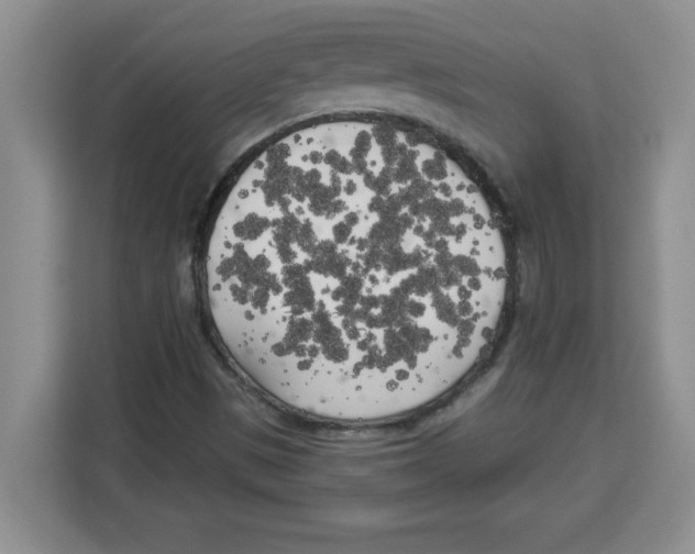 X0000113921497200910221343