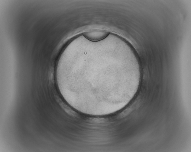 X0000113921499200910221343