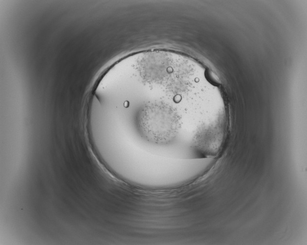 X0000113921500200910221343