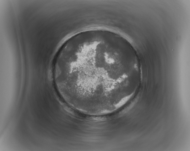 X0000113921501200910221343