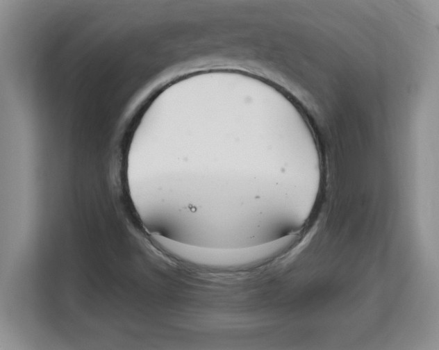 X0000113921502200910221343