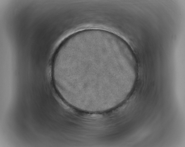 X0000113921503200910221343