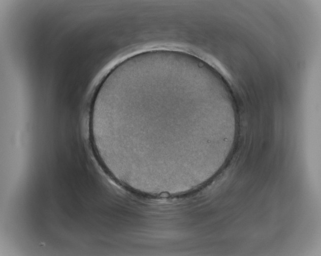 X0000113921504200910221343
