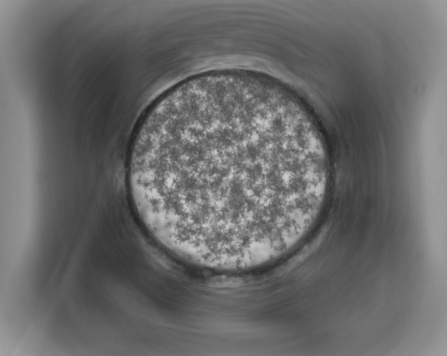 X0000113921505200910221343