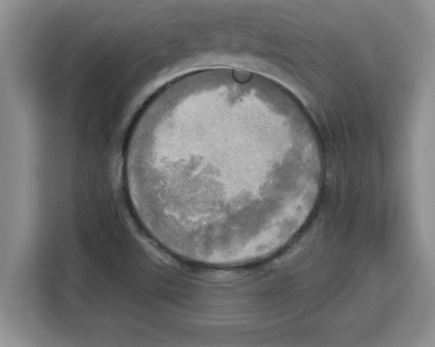 X0000113921507200910221343