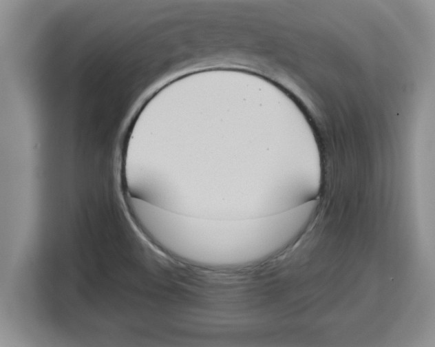 X0000113921508200910221343