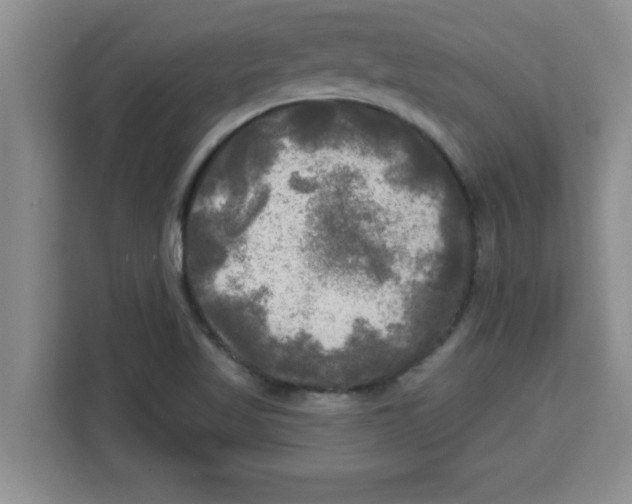 X0000113921509200910221343