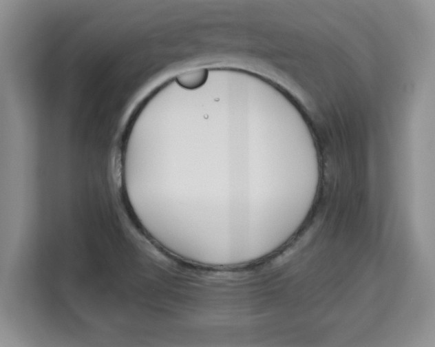 X0000113921510200910221343
