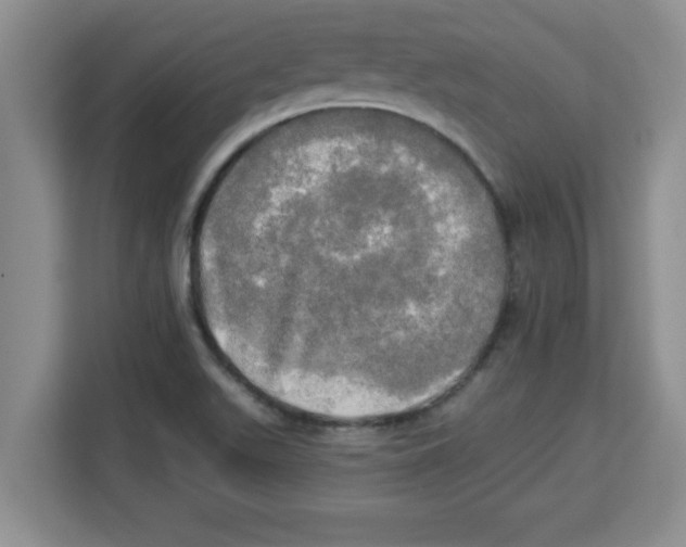X0000113921511200910221343