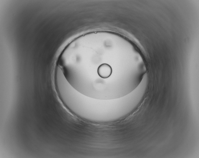 X0000113921512200910221343