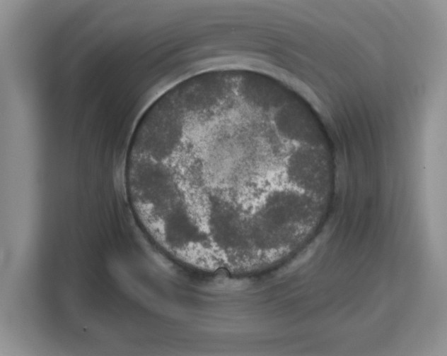 X0000113921513200910221343