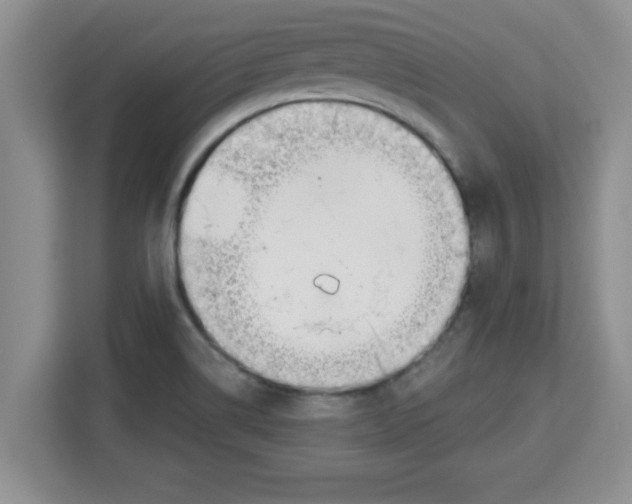 X0000113921514200910221343