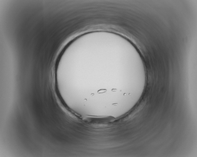 X0000113921515200910221343