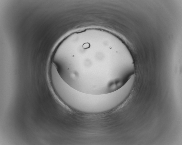 X0000113921518200910221343