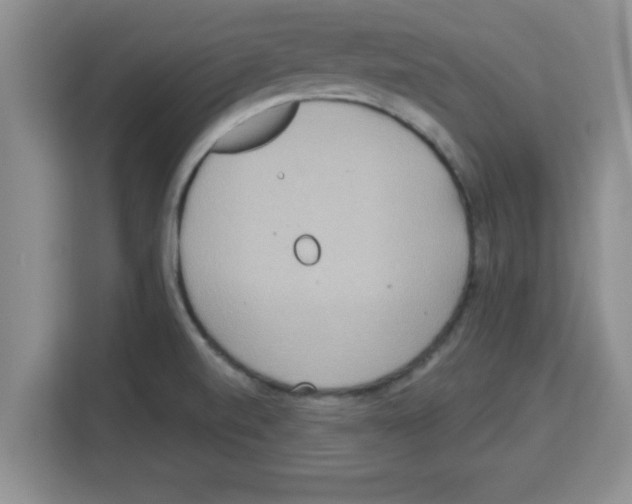 X0000113921520200910221343