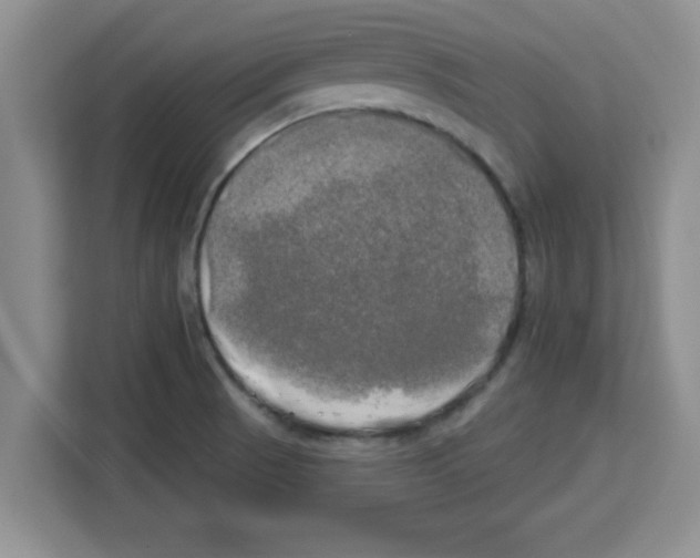 X0000113921521200910221343