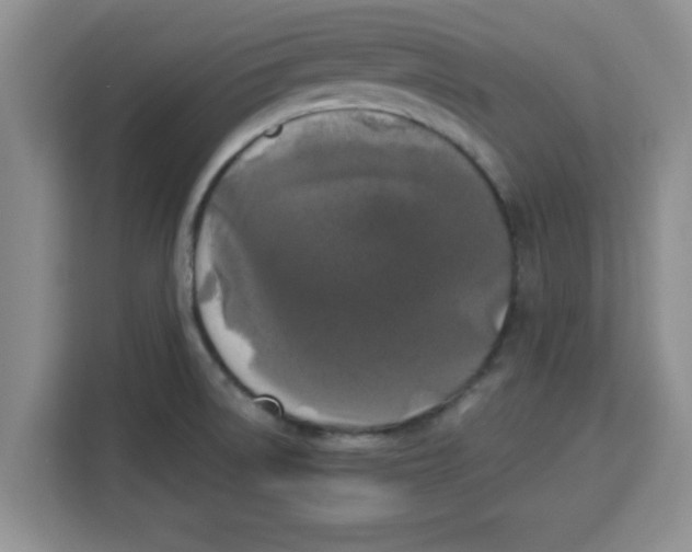 X0000113921522200910221343