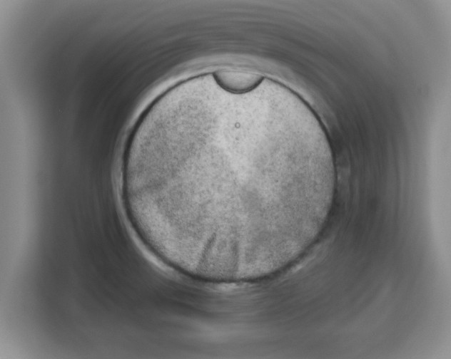 X0000113921523200910221343